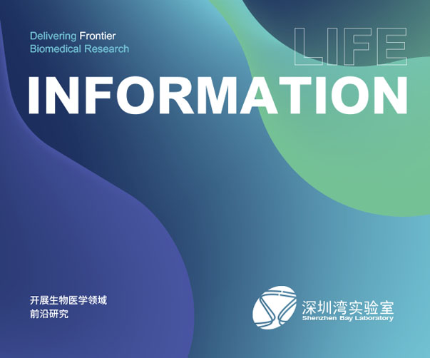 廈門標(biāo)志設(shè)計(jì)：華僑文化與現(xiàn)代都市的多元融合